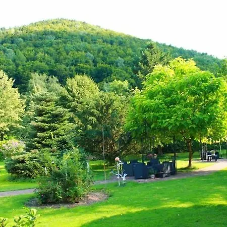 Parkhotel Weber-mueller Ξενοδοχείο 4*