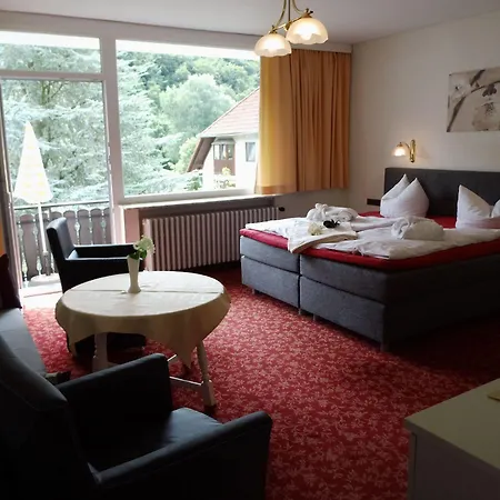 Hotel Parkhotel Weber-müller Bad Lauterberg im Harz